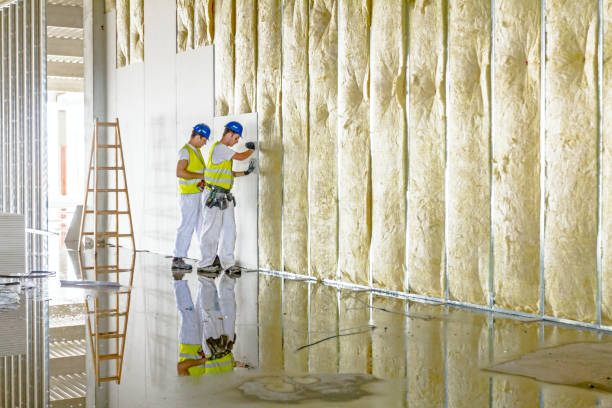 Best Specialized Insulation Services in Salem, MA